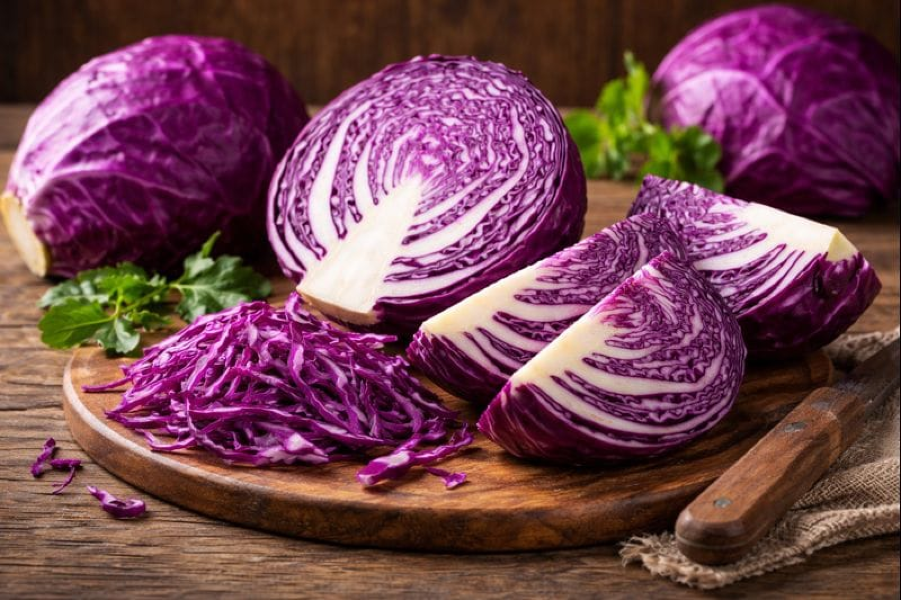 Purple cabbage
