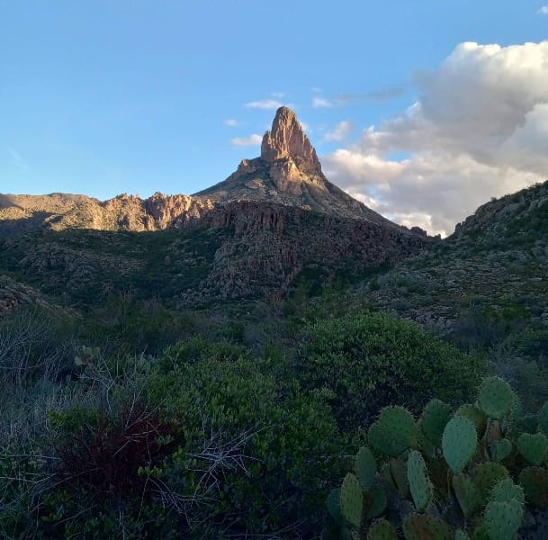 Weaver’s Needle Loop: Our First Big Hike of 2026