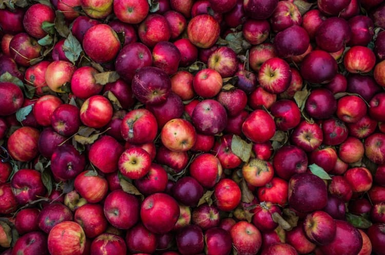 Apple Celebration Week