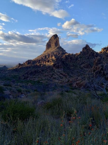 Weaver's Needle - View from Peralta Trail