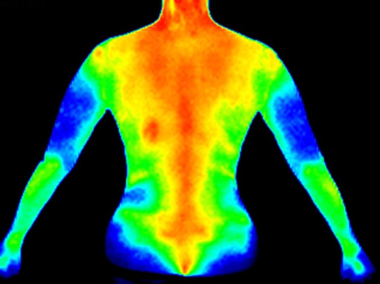 Understanding Inflammation