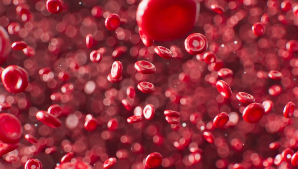 A Guide to Healthy Blood