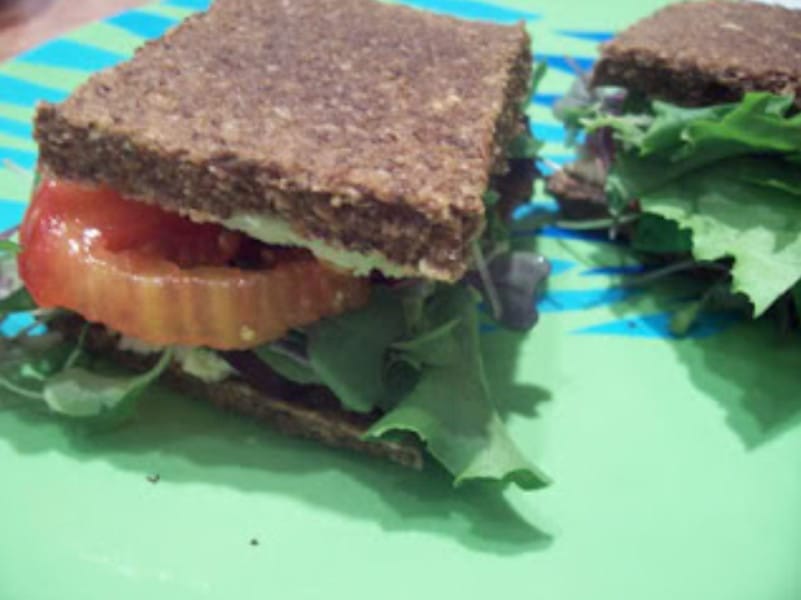 Tangy Sprout Bread